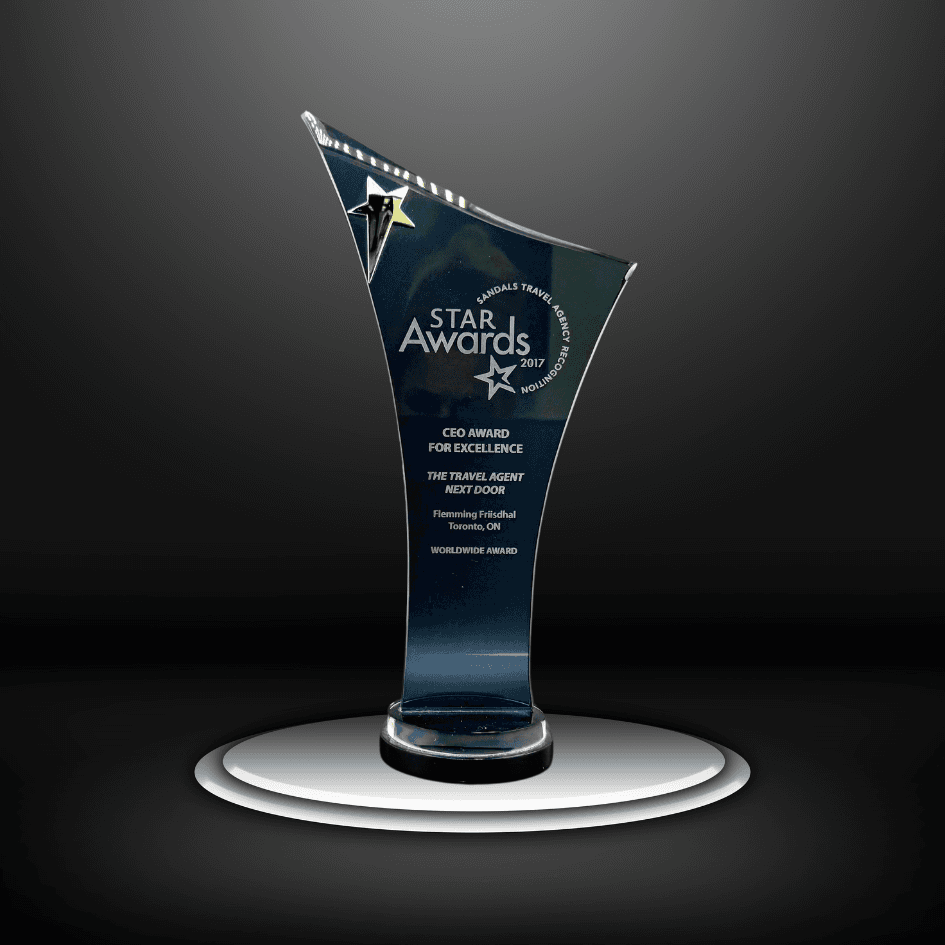 CEO Award of Excellence – Flemming Friisdahl