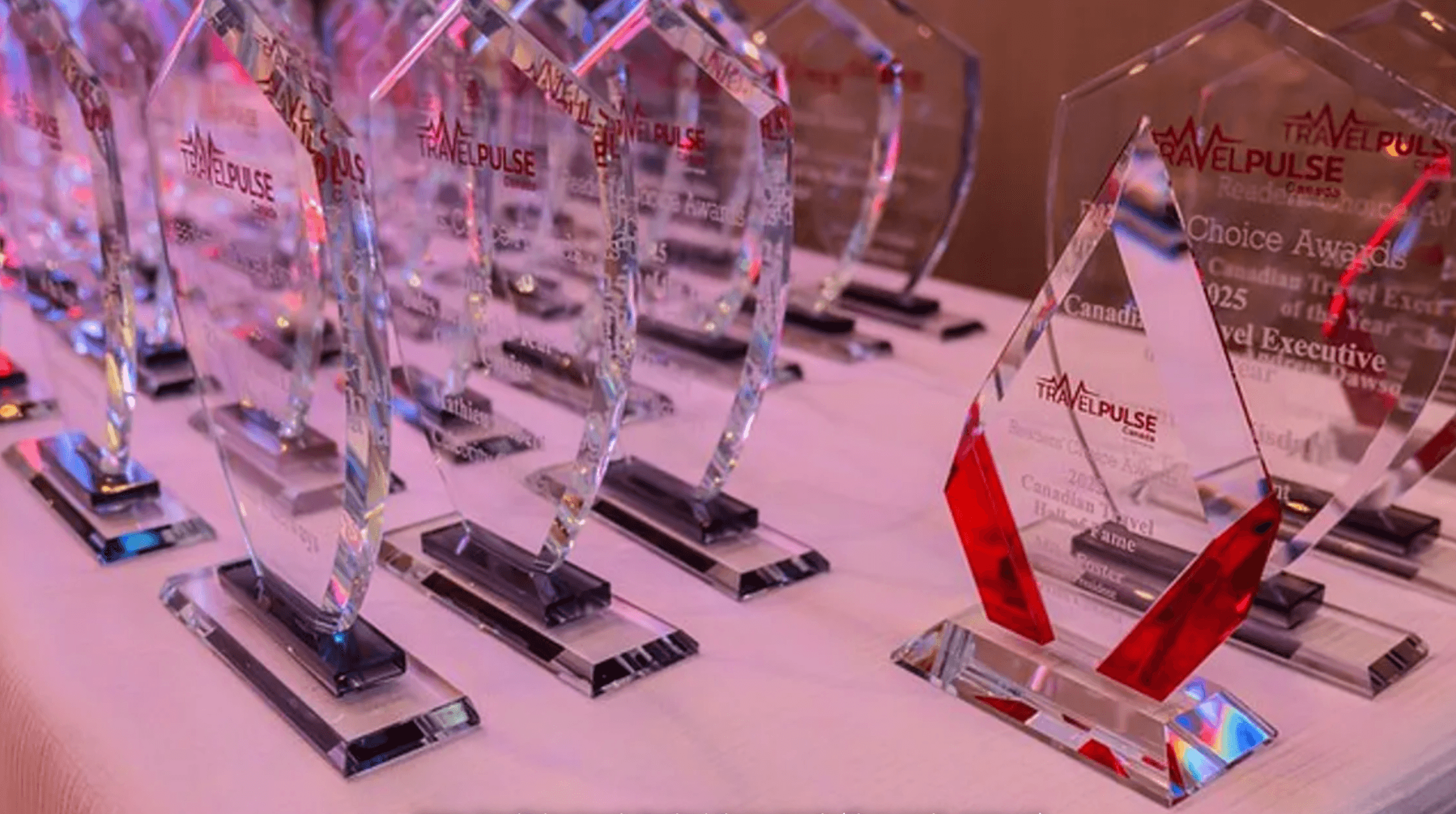 Flemming Friisdahl, founder & CEO of The Travel Agent Next Door, recognized for his leadership within the advisor community.